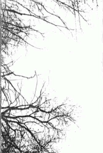 Grausamkeit : Born Under Occult Intentions